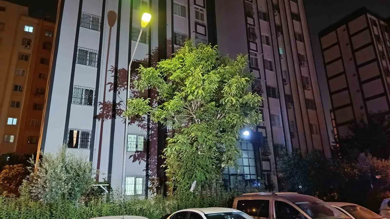uykuda vurulan kadın hayatını kaybetti; şüpheli kısa sürede yakalandı