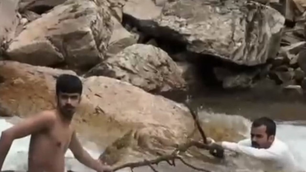 Uzungöl'de Haldizen Deresi'nde can pazarı