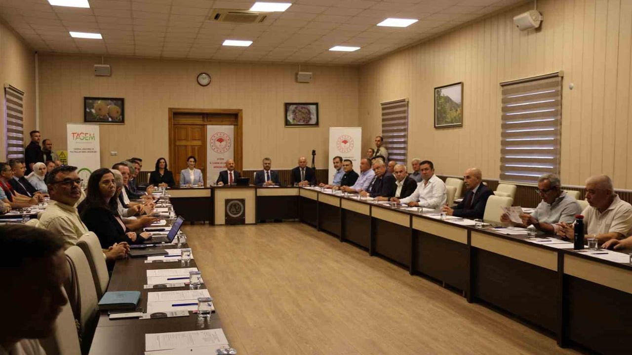 Vali Varol: Aydın inciri altın değerinde bir ürün