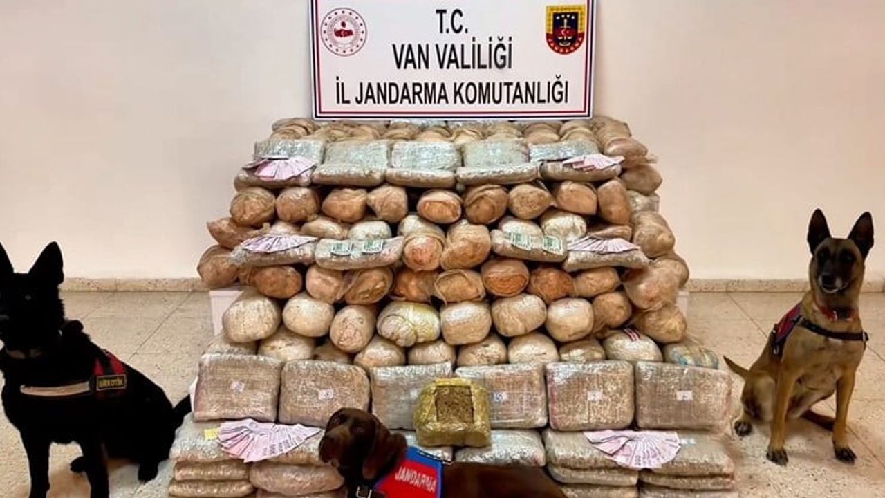 Van'da 333 kilo skunk ele geçirildi