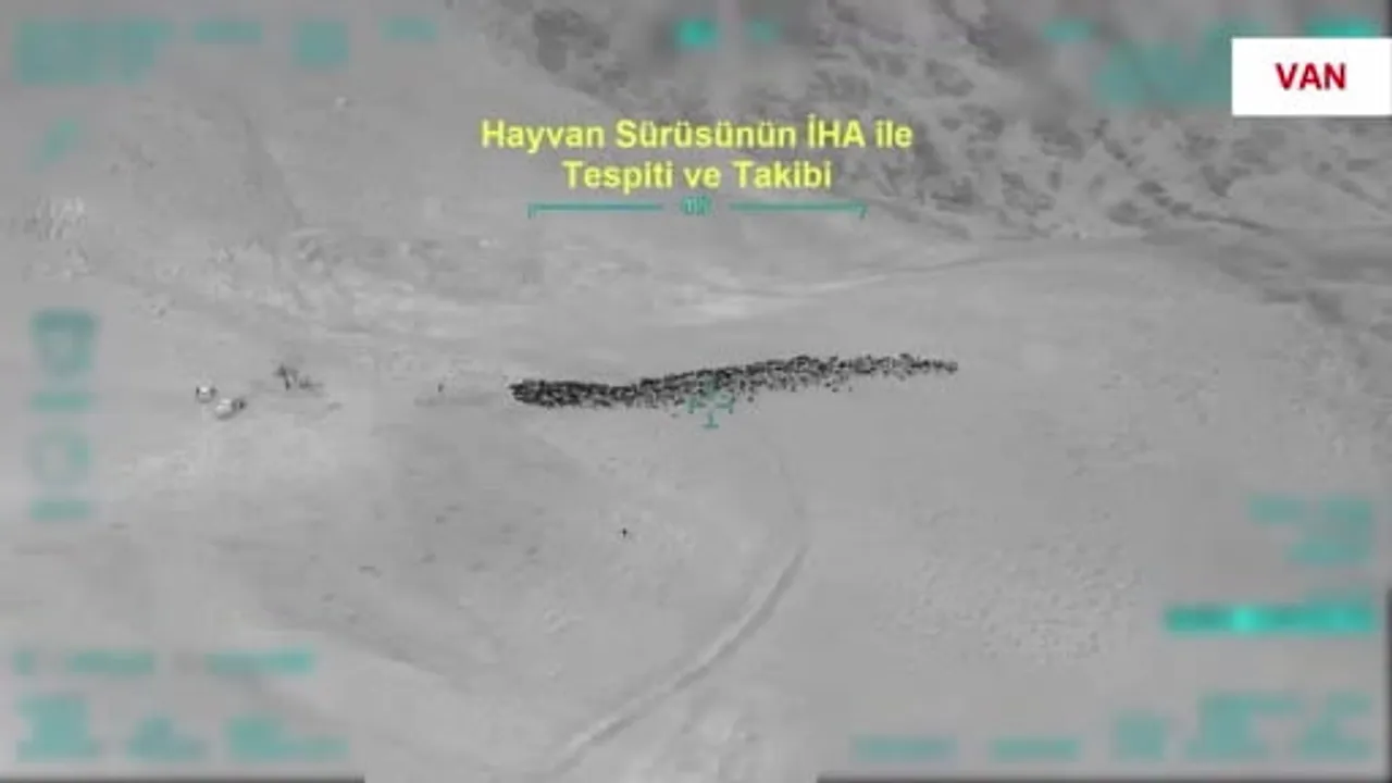 Van'da 800 küçükbaş hayvanın yağmalanmasına ilişkin İHA destekli operasyonda 4 gözaltı