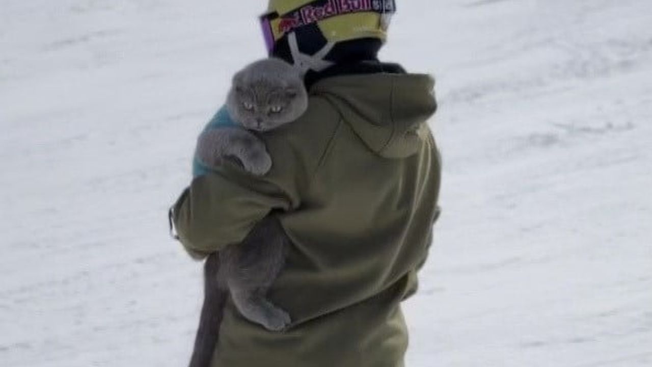 Veterinerlerin 'yaşamaz' dediği kedi Başkan hayata tutundu: denizde yüzdü, Uludağ'da kayak yaptı