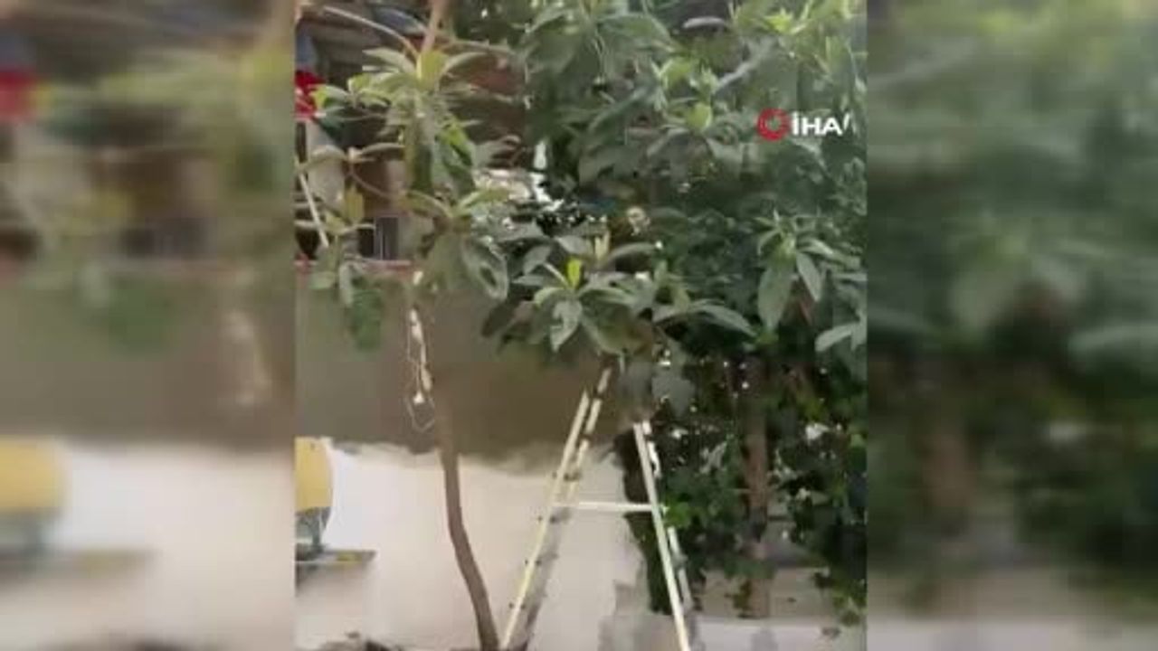 Yabancı uyruklu şüpheli adliyeye sevk edildi