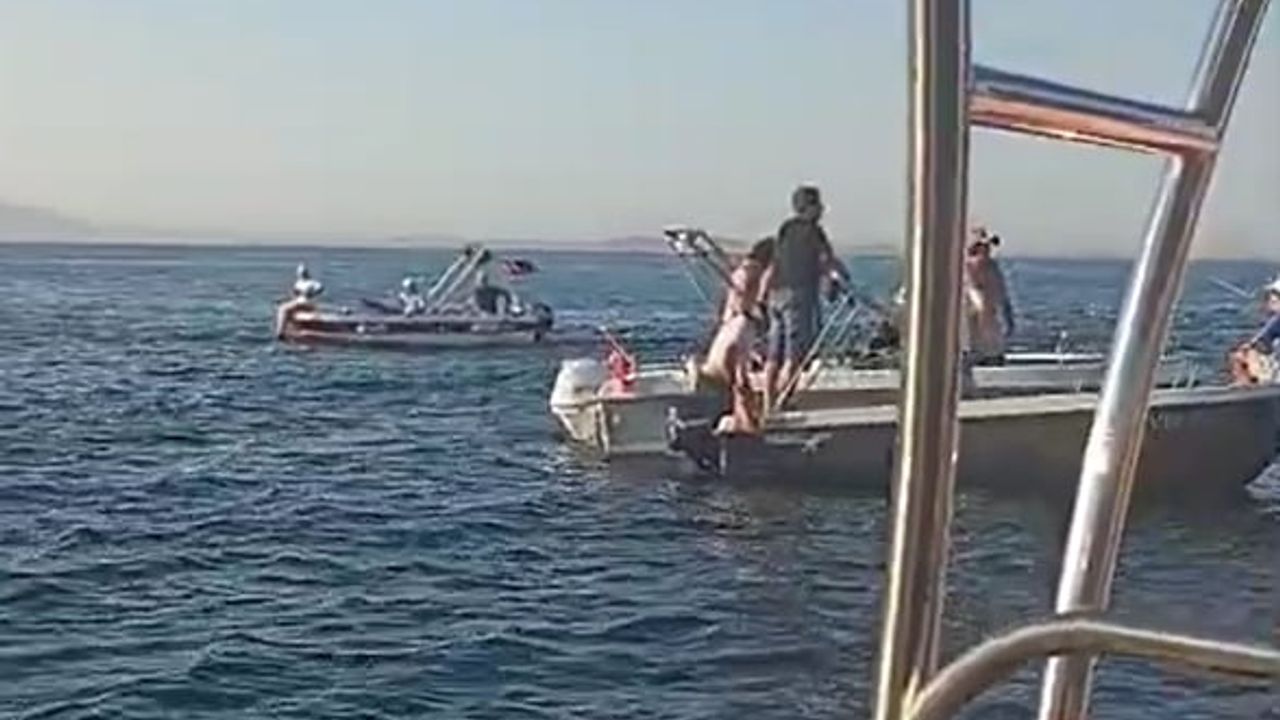 Yalova açıklarında su tankeri tekneye çarptı: 2 kişi denize atlayarak kurtuldu