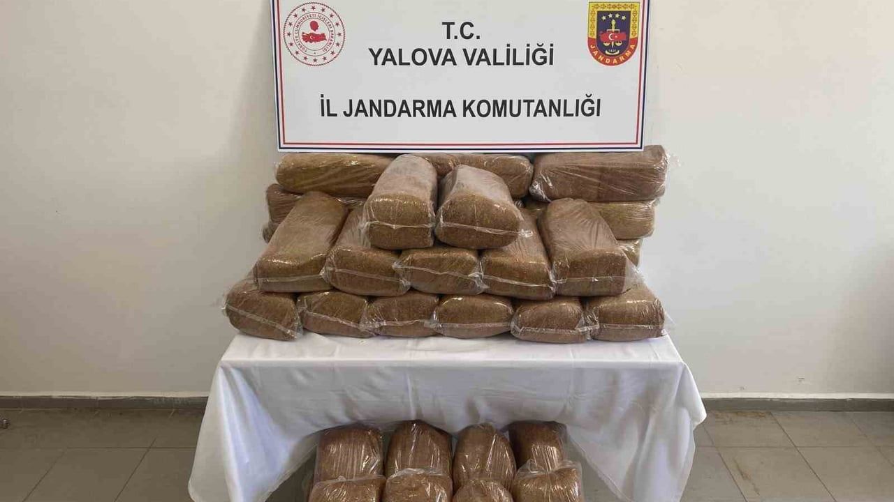 Yalova’da 160 kilo bandrolsüz tütün ele geçirildi