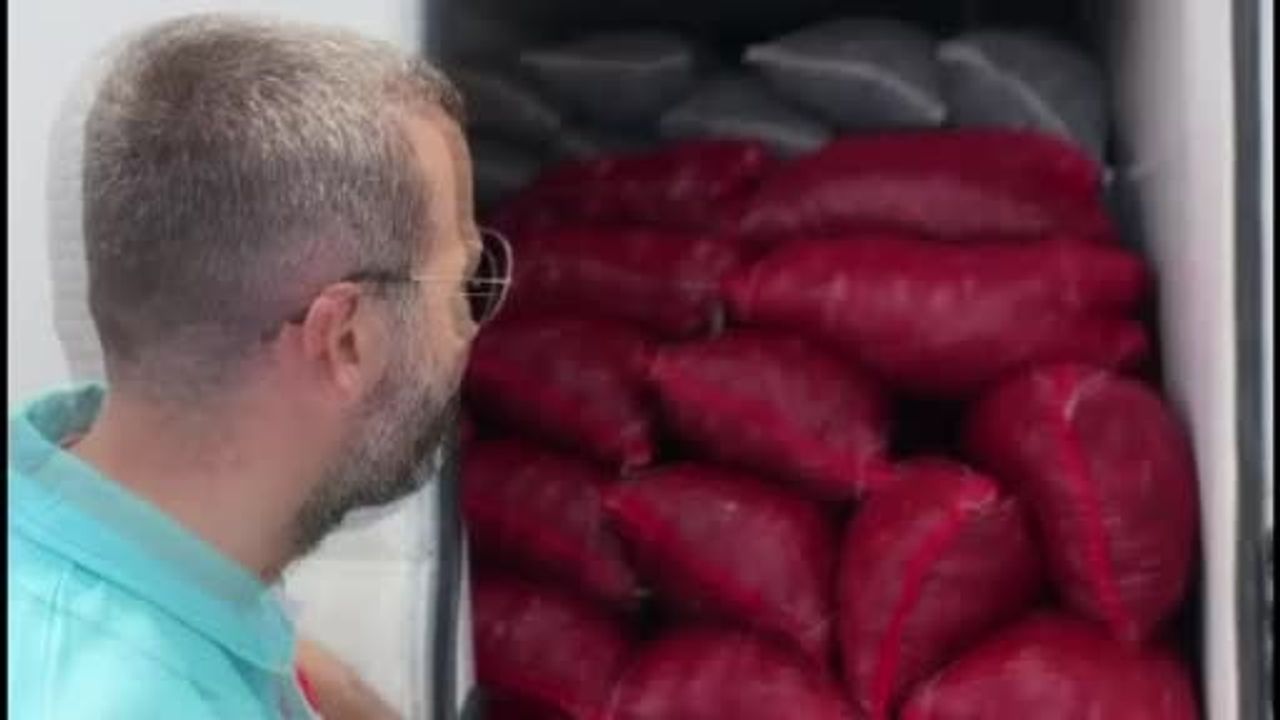 Yalova’da 3 ton kaçak midye ele geçirildi