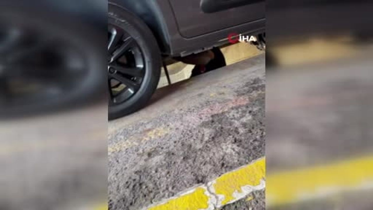 Yalova'da feribottan inen araçta yılan bulundu