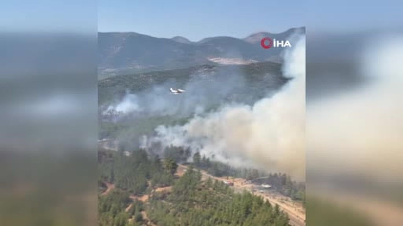 Yangınlarda 202 noktada kontrol sağlandı, ekipler kritik illerde teyakkuzda