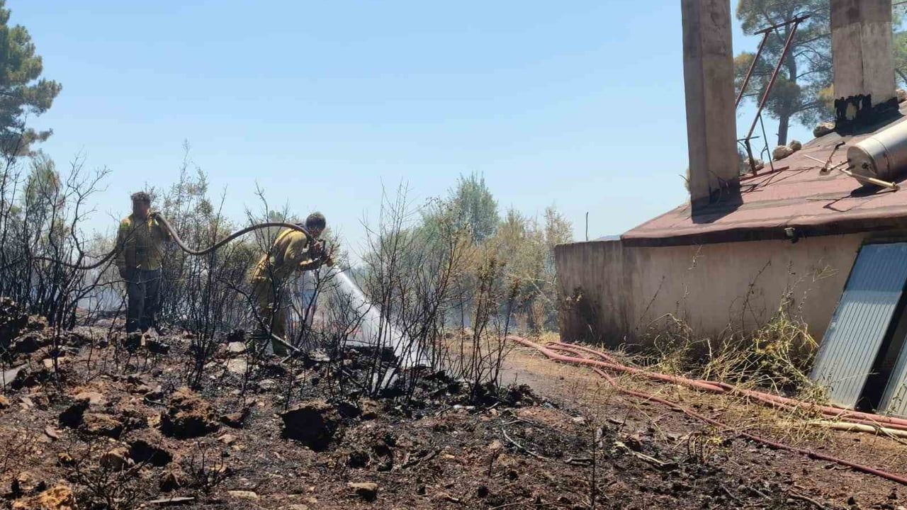 Yaraş Mahallesi'nde ekiplerin ve halkın ortak çabası yangını kontrol altına aldı