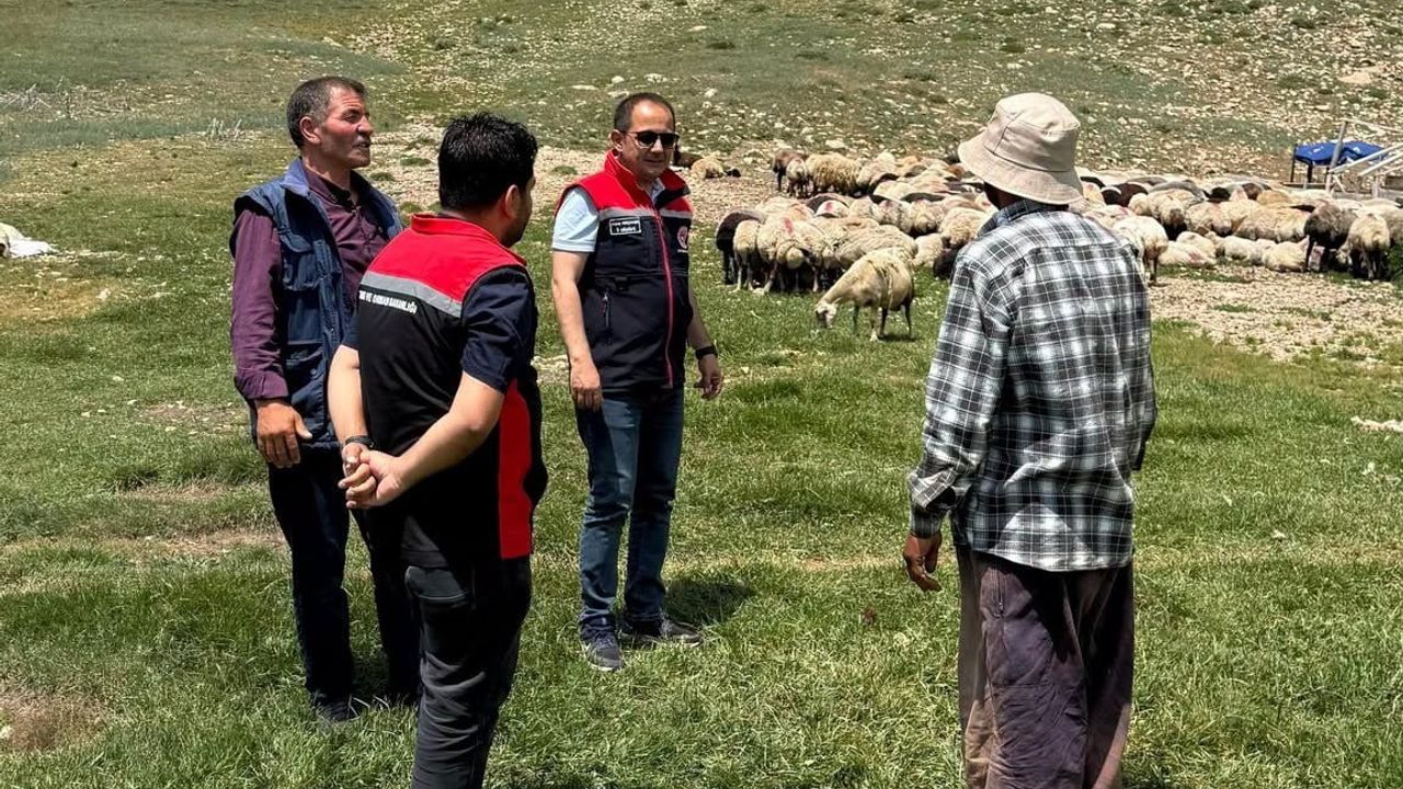 Yaylalarda yaşatılan lezzet: Erzincan tulum peyniri geleneksel yöntemlerle korunuyor