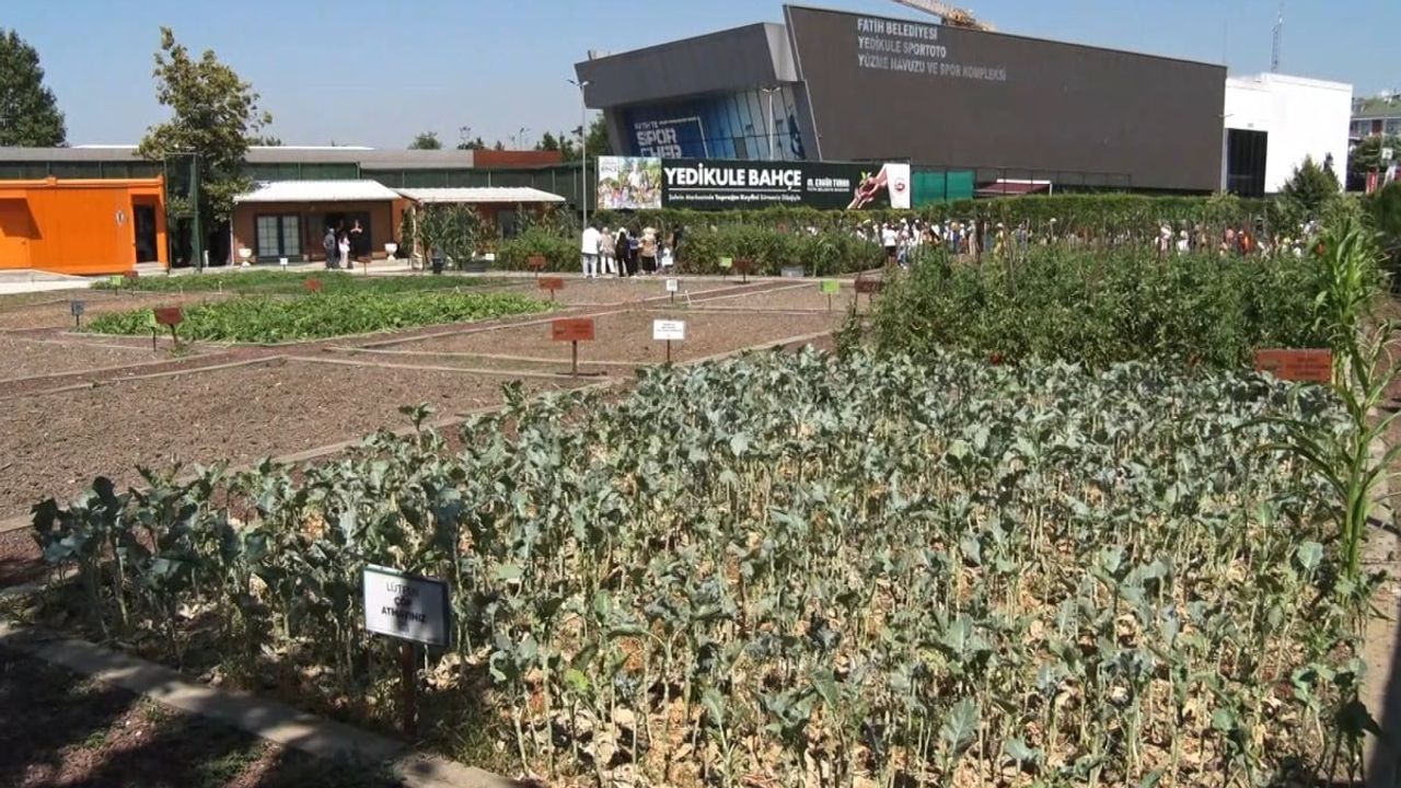 Yedikule bahçe'de çocuklar toprakla buluştu
