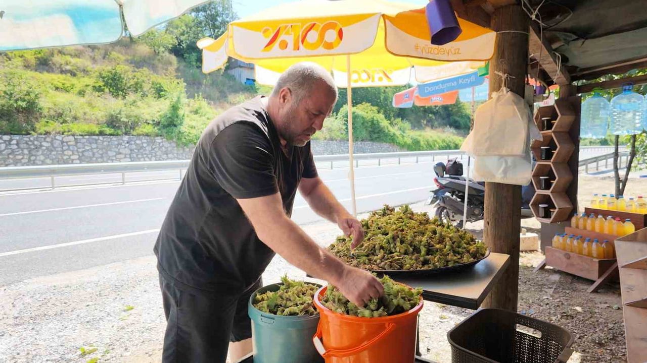Yeni fındık 655 güzergahında taze tüketimin adresi oldu