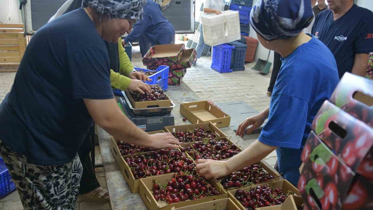 Yerel üretimi dijital pazara taşıdı, 70 kişiye istihdam sağladı