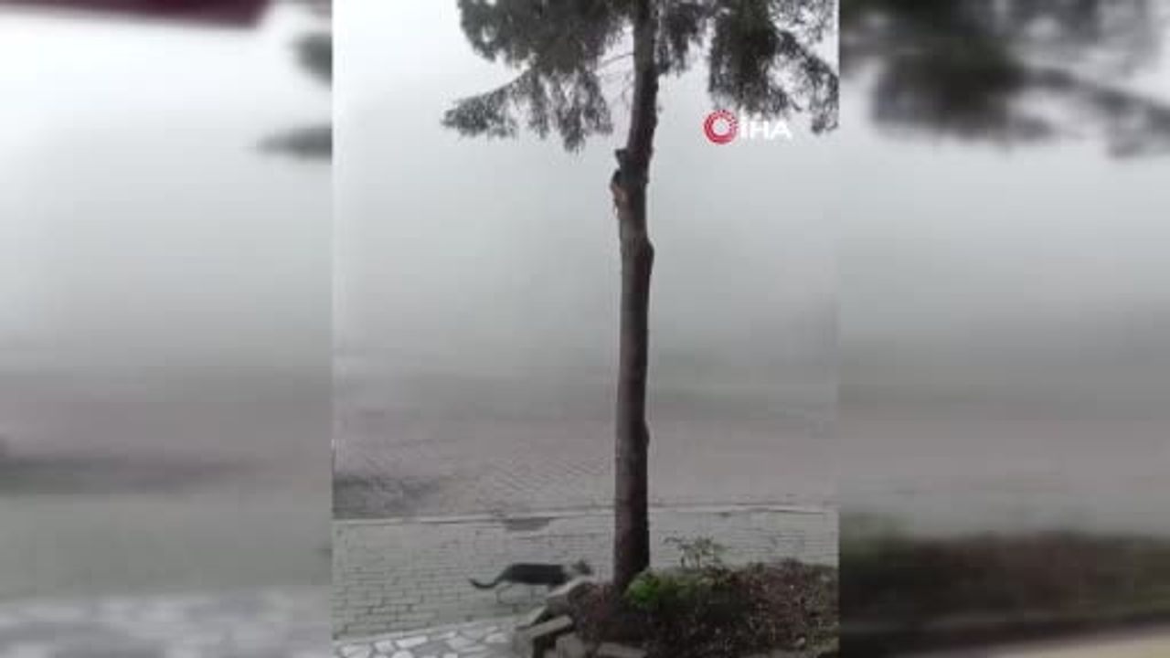 Yıkım sırasında Avcılar'da toz bulutu gerginliğe yol açtı