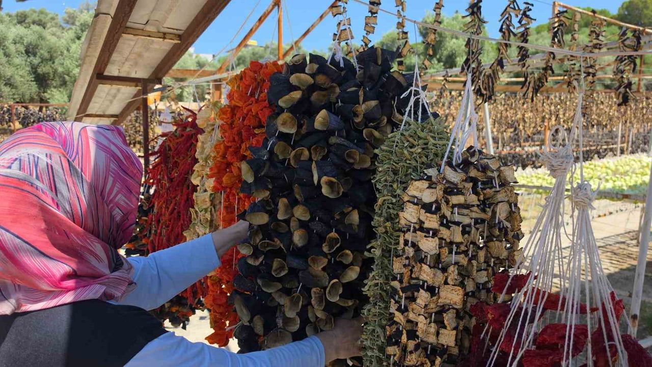 Yıldıztepe'den dünyaya uzanan kurutulmuş lezzet: patlıcan vadisi