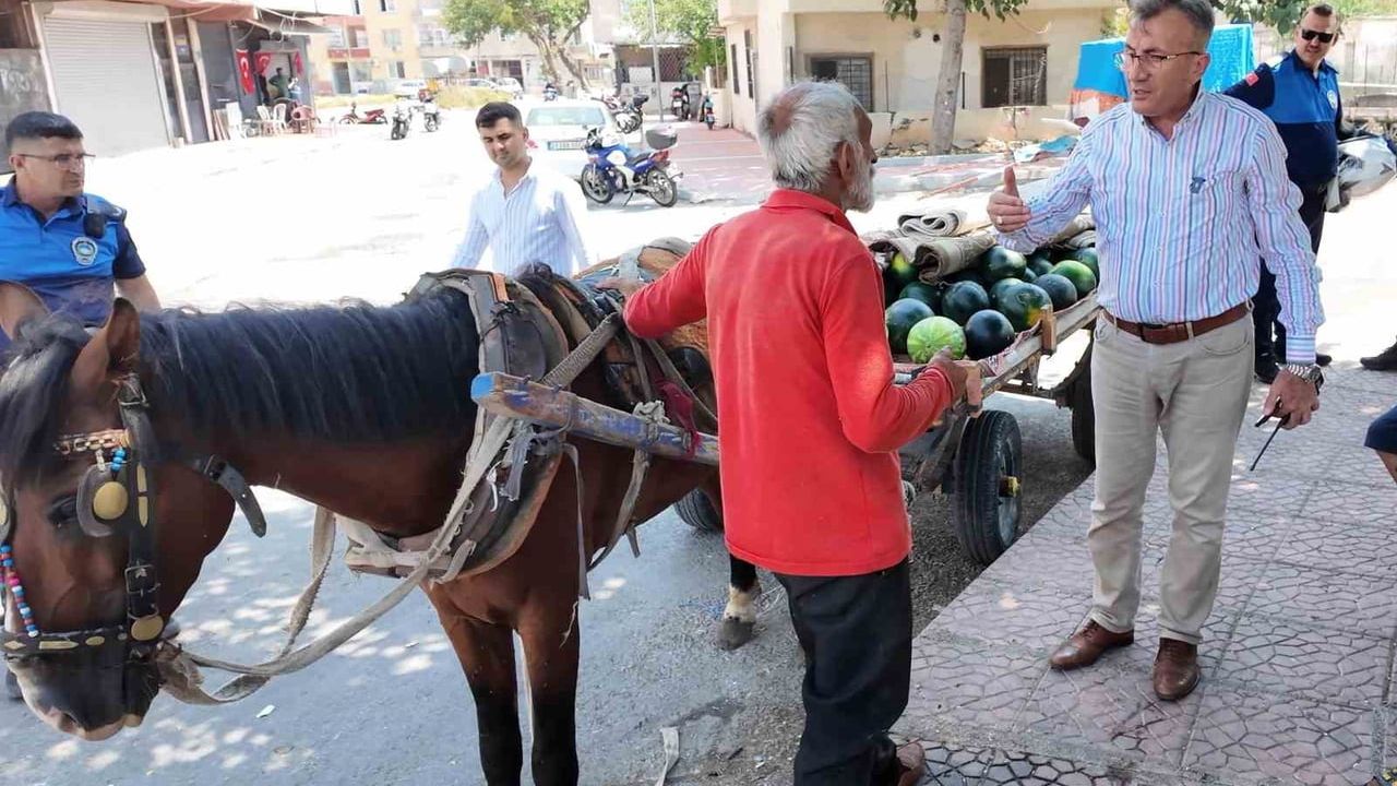 Yorgunluktan düşen at veteriner bakımı sonrası yeni yuvasına gönderildi