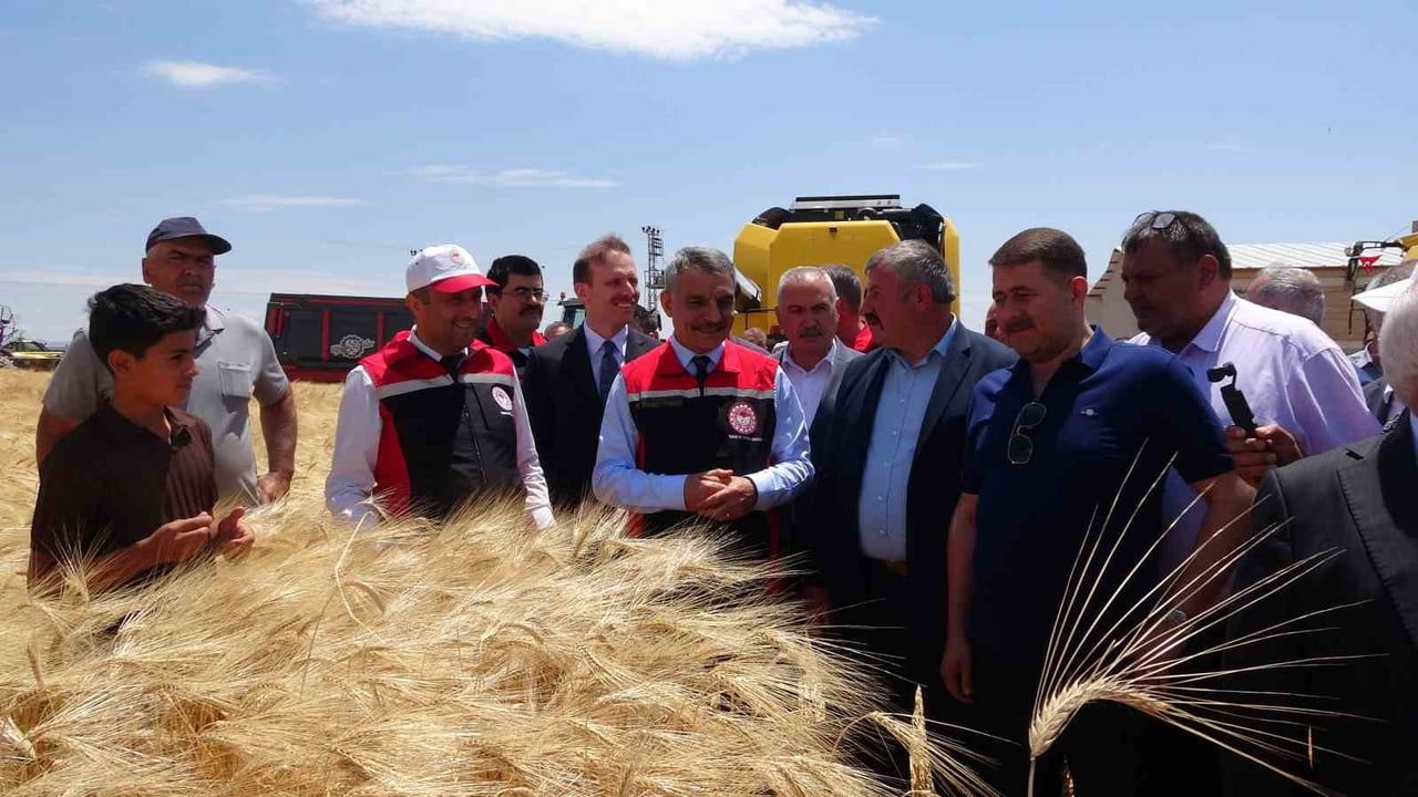 Yozgat'ta arpa hasadı başladı