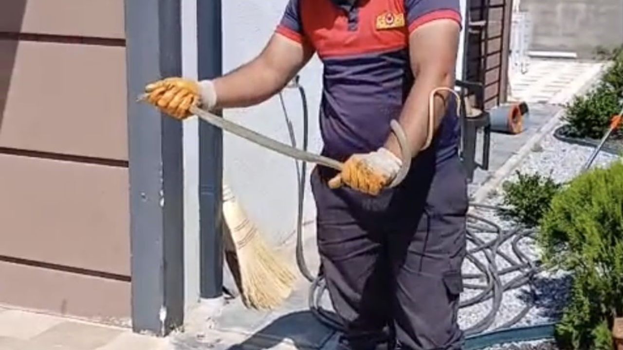 Yozgat'ta ev bahçesindeki yılan itfaiye ekiplerince doğaya bırakıldı