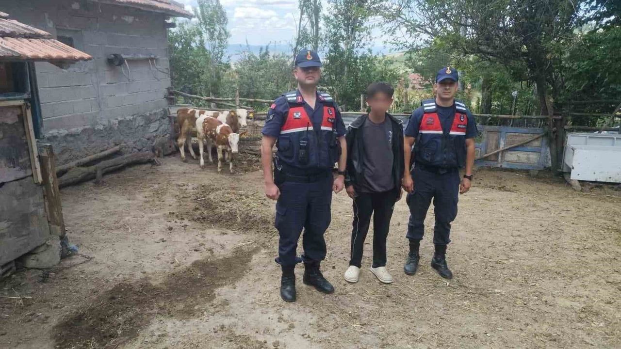 Yozgat’ta jandarma kaybolan büyükbaşları bulup çiftçiye teslim etti