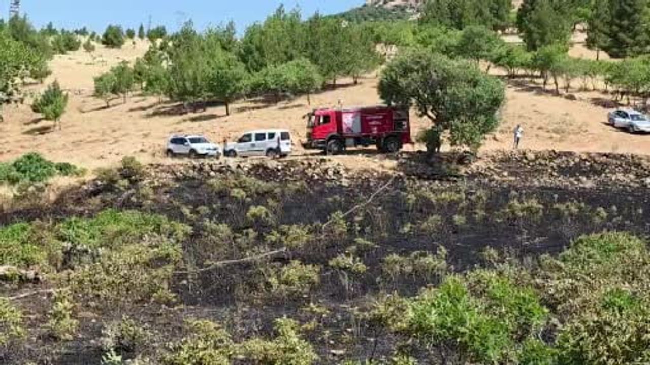 Yüksek gerilim hattına çarpan kuş, Ergani'de örtü yangını başlattı