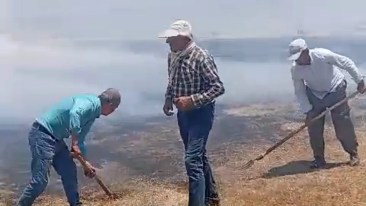 Yüksekova'da bin balya ot kül oldu