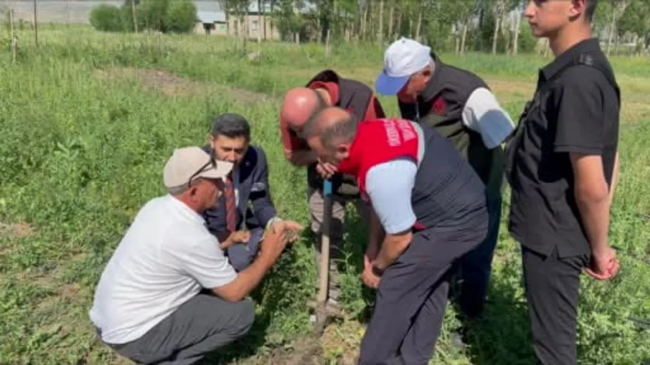 Yüksekova’da tarımda yeni dönem: Yoncalı köyünde ilk ticari salep hasadı yapıldı