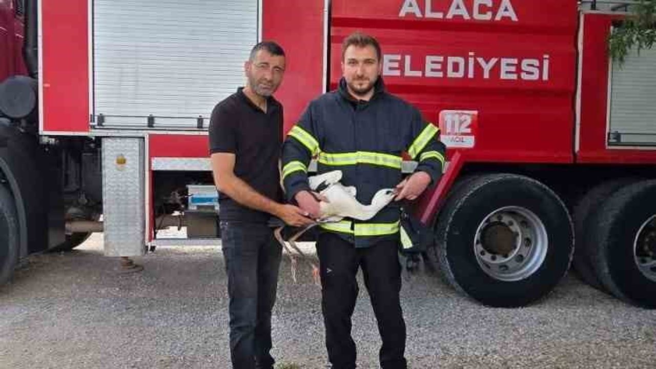 Yuvasında mahsur kalan leylek itfaiye ekiplerince kurtarıldı