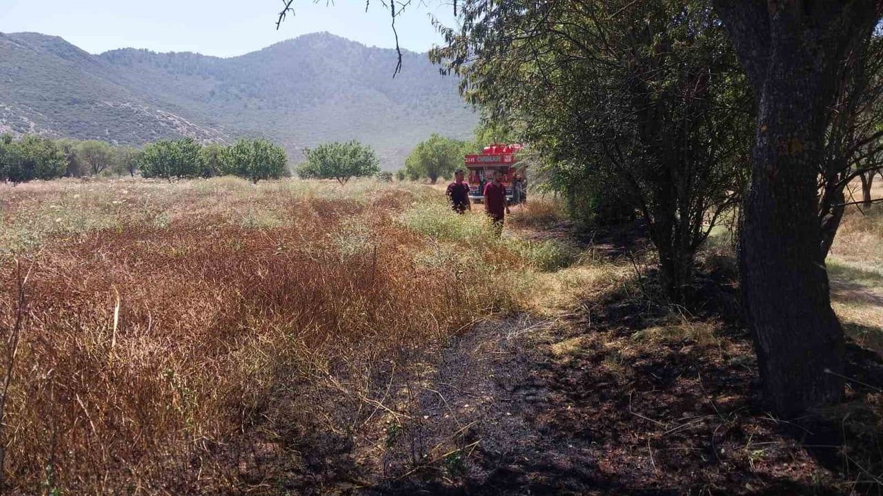 Zamanında müdahale Bucak'ta anız yangınının yayılmasını önledi