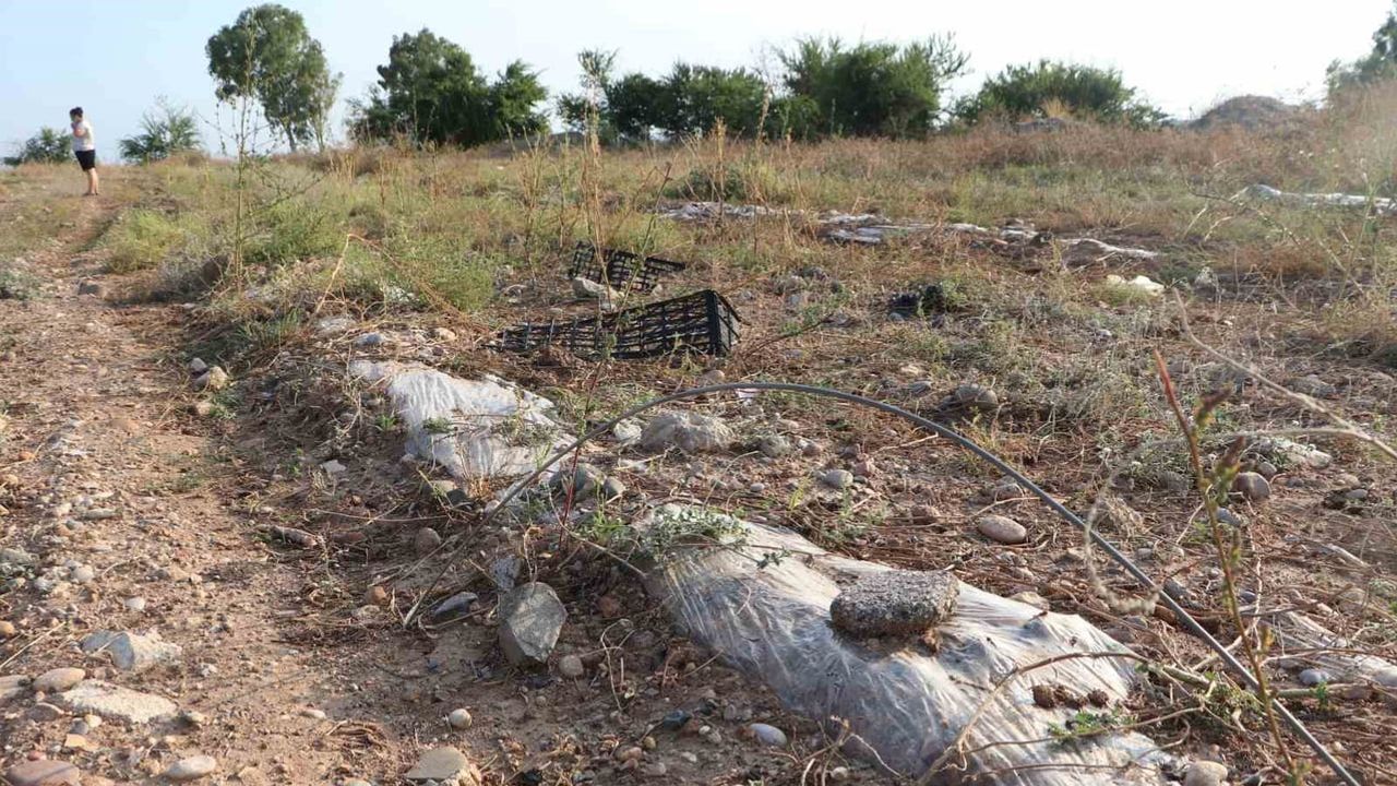 Adana'da yıllardır gündemde olan 544 dönümlük arazide izinsiz ekim iddiası