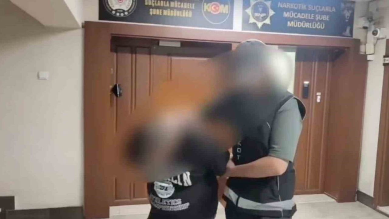 Adapazarı'nda bonzai satıcısı suçüstü yakalandı