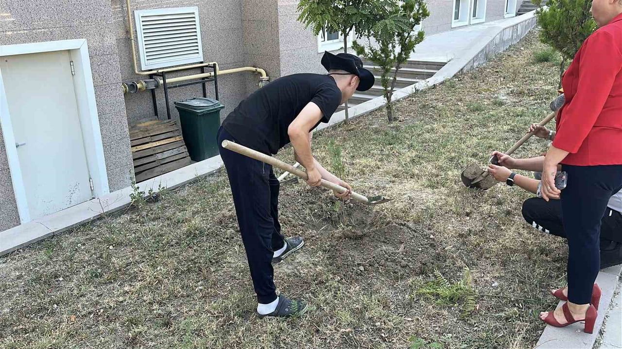 Adliye bahçesinde filizlenen uzlaşma: 10 fidanla sona eren dava