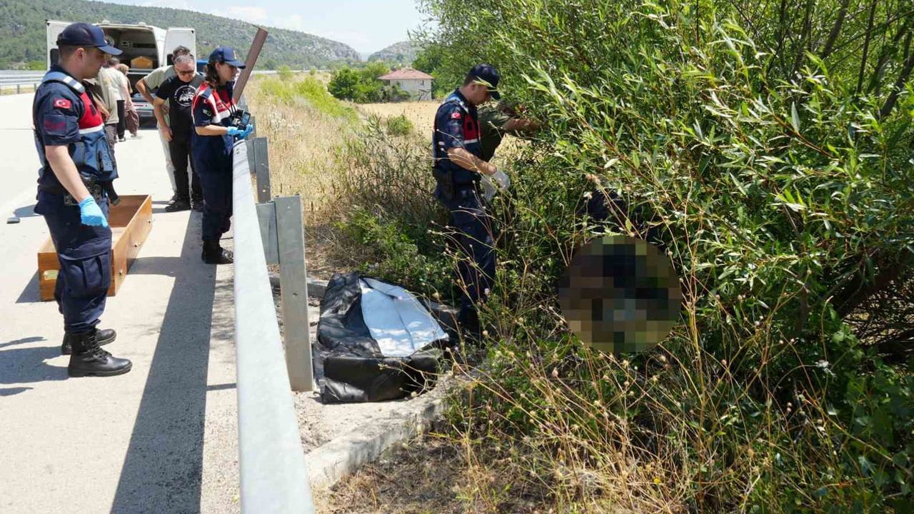 Ağaç altında son bulan yolculuk: Araç'ta çarpıp kaçan sürücü yakalandı