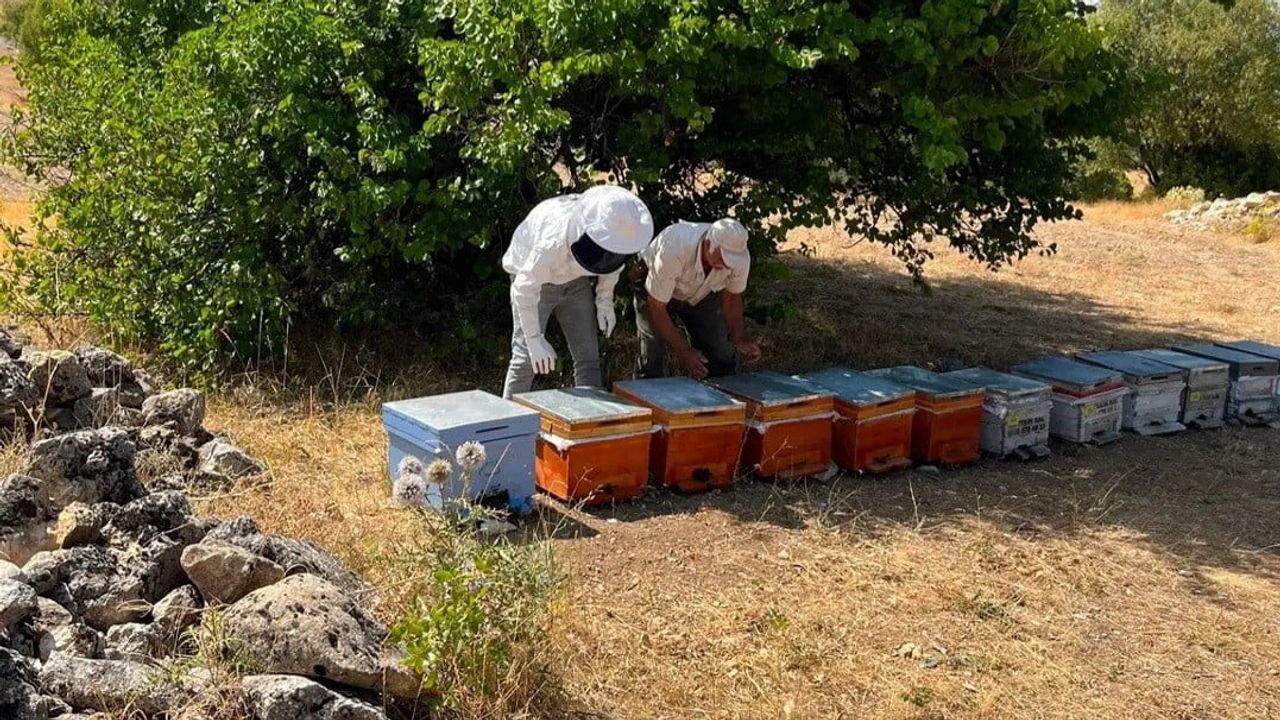 Ağın'da arıcılık takibi güçlendi: 150 kovan yerinde tespit edildi