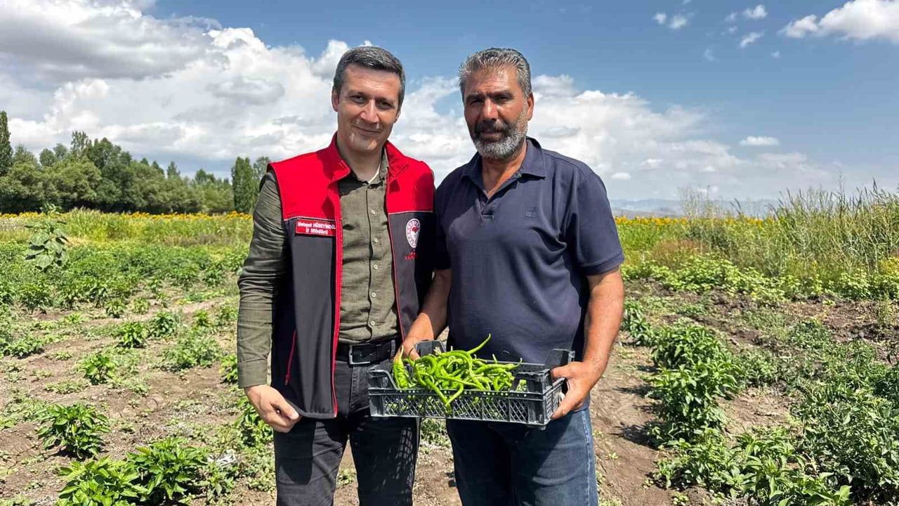 Ağrı’da hibeli bostan sebze, meyve ve tahılın aynı tarlada buluştuğu model üretim