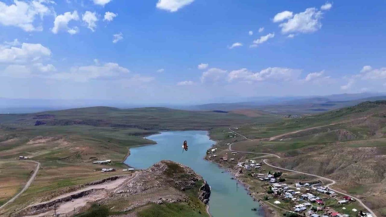 Ağrı semalarında pençesindeki yılanla süzülen kartalı dron kaydetti