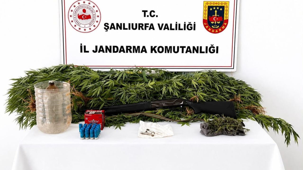 Akçakale'de jandarmadan uyuşturucu operasyonu: çok sayıda madde ele geçirildi
