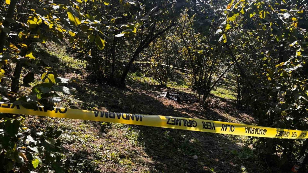 Akçakoca'da fındık bahçesine düşen insansız hava aracı benzeri cisim inceleniyor
