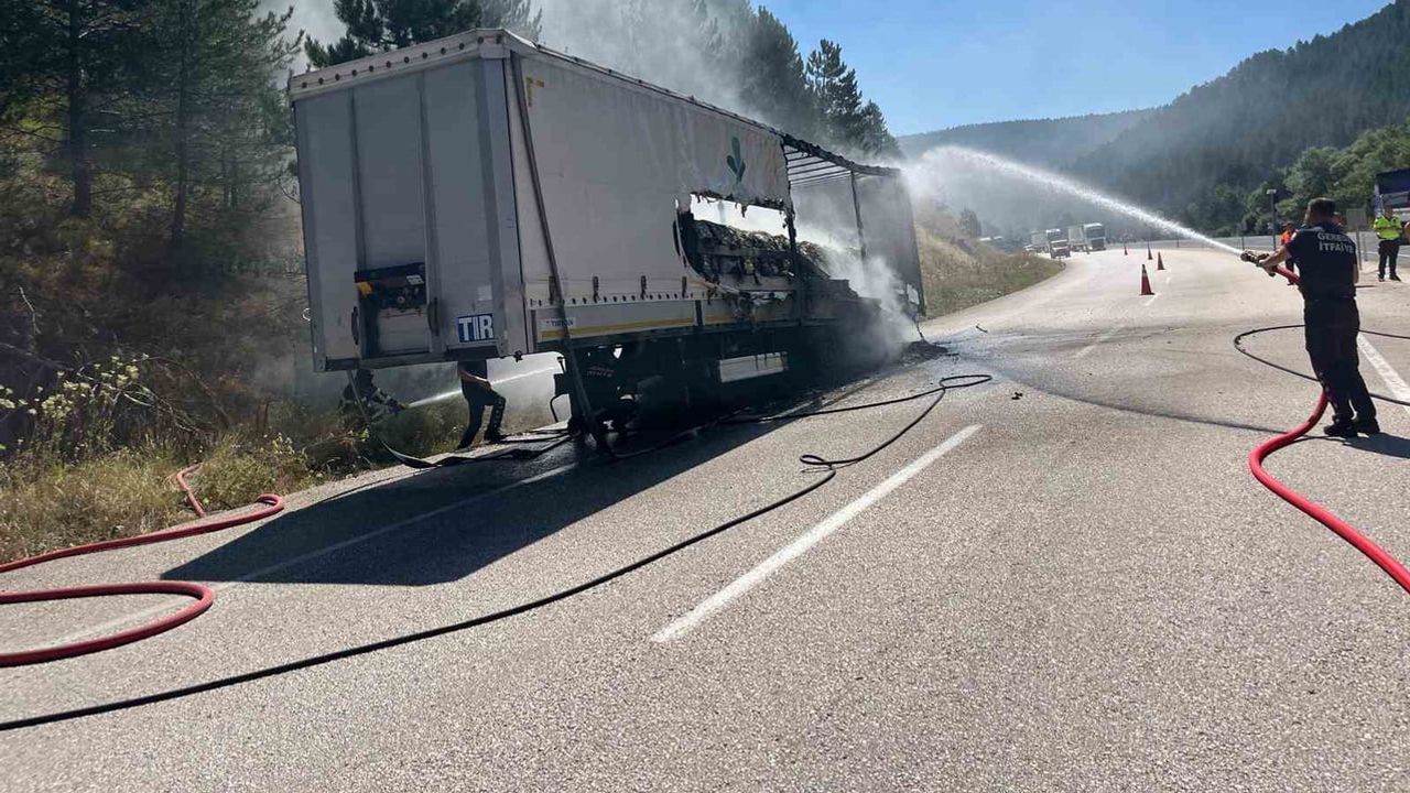 Aktaş'ta dorsede başlayan yangın yol kenarındaki ormanı tehdit etti