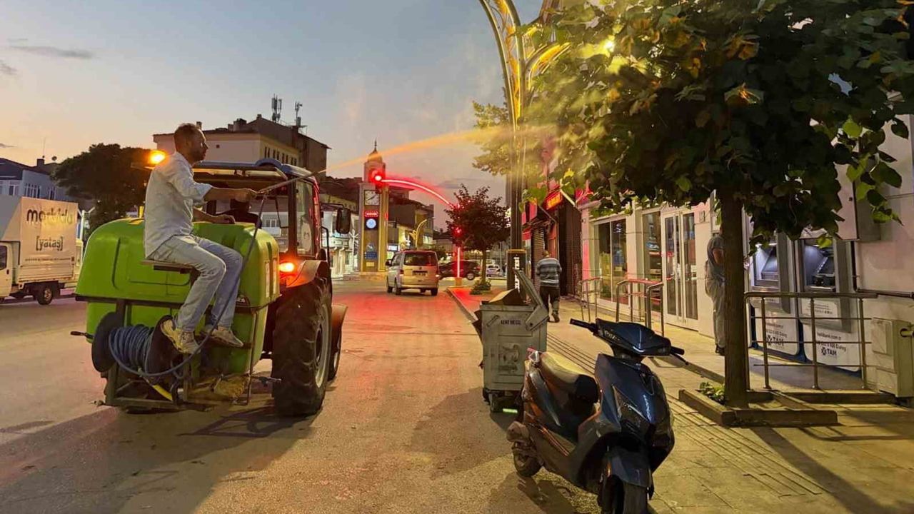 Alaca'da yaz böceklerine karşı seferberlik: ilaçlama aralıksız sürüyor