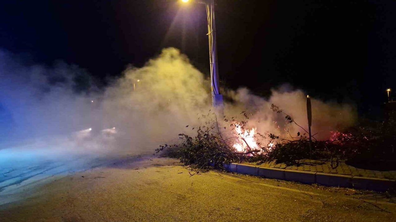 Alaca'da Yıldızhan Mahallesi'nde çıkan örtü yangını hızlı müdahaleyle engellendi
