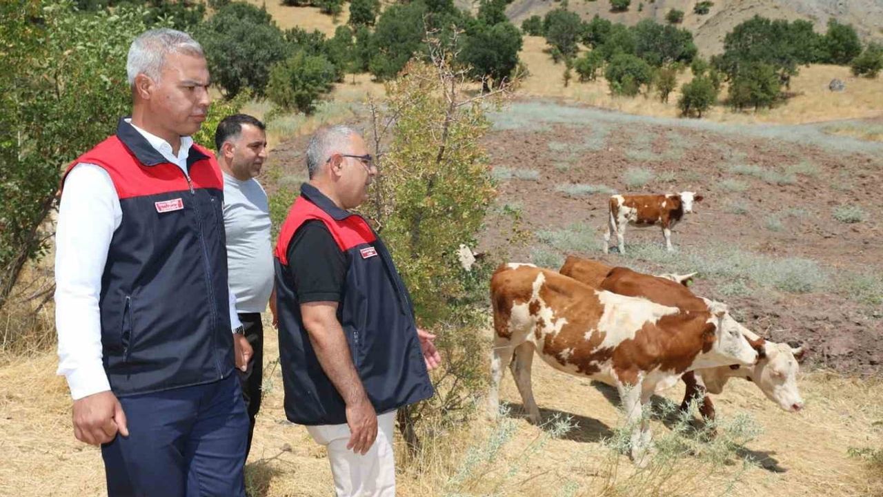 Alacakaya'da Kırsalda Bereket projesi üreticinin hayvancılık kapasitesini güçlendiriyor