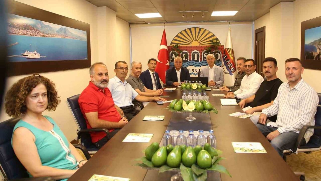 Alanya avokadosu uluslararası tescil yolunda