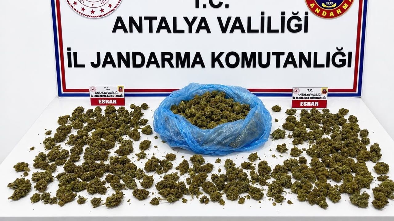 Alanya'da jandarmanın uyuşturucu operasyonu: 745 gram kubar esrar ve 5 kök kenevir bulundu