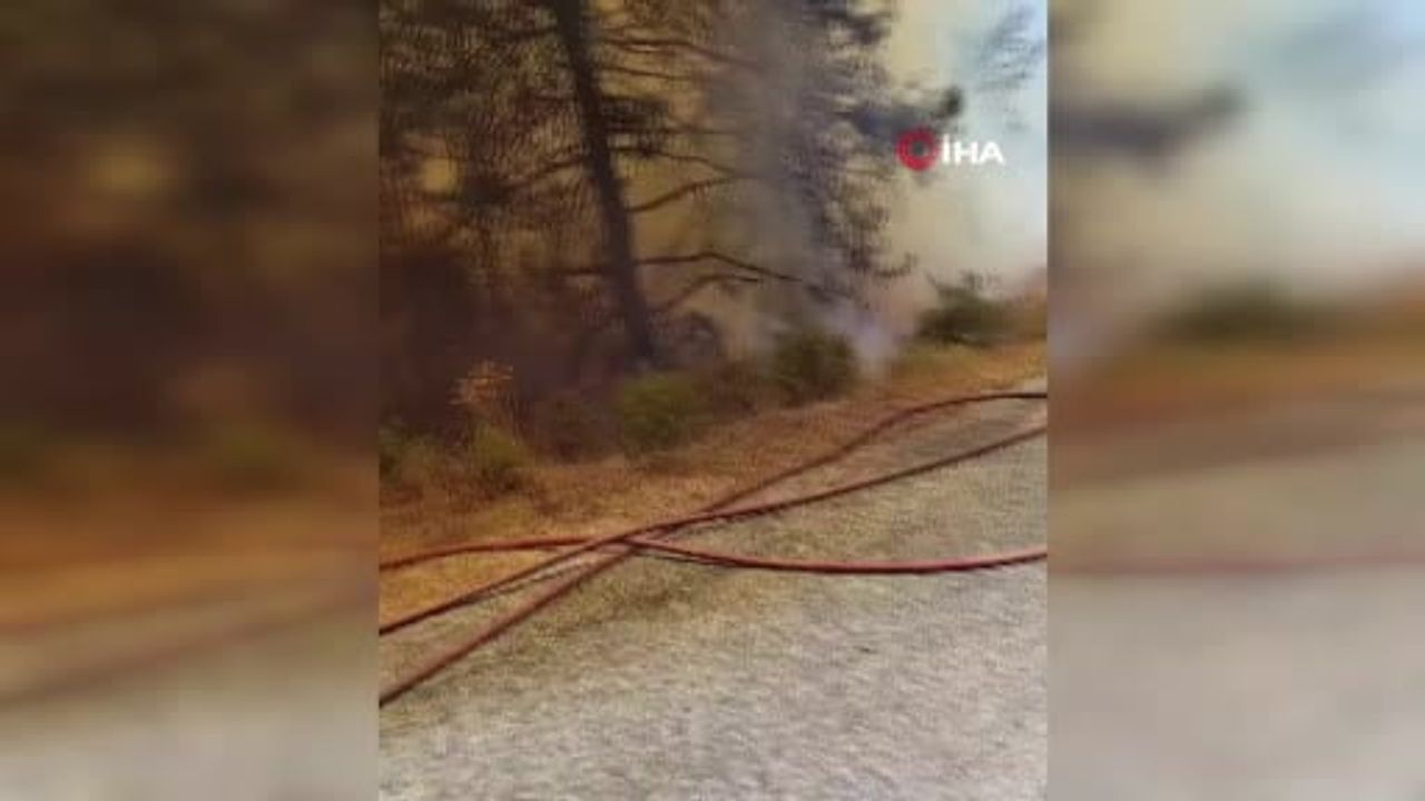 Alanya'da Tepe Mahallesi'nde orman yangını, ekipler havadan ve karadan müdahale ediyor