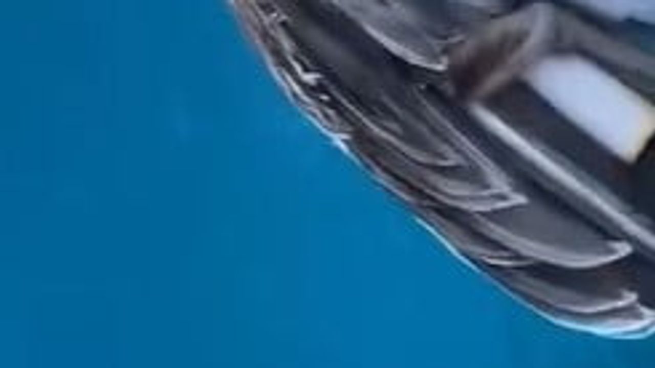 Alanya denizinde av malzemesiyle yaralanan martı yaşamını yitirdi