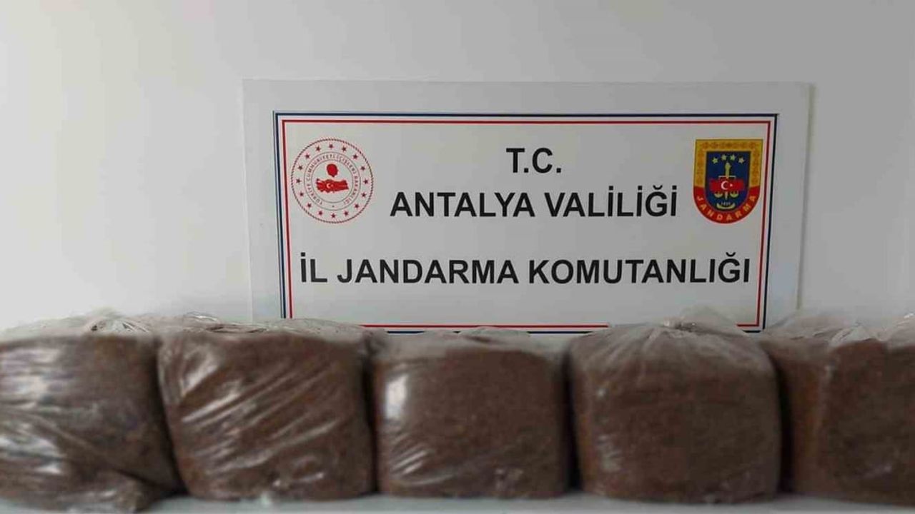 Alanya ve Demre'de jandarmadan kaçak tütüne darbe