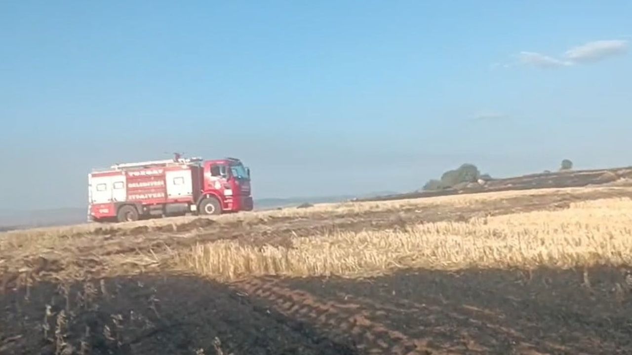 Anız ateşi 27 hektarda hasara yol açtı: şüpheli mahkemece tutuklandı