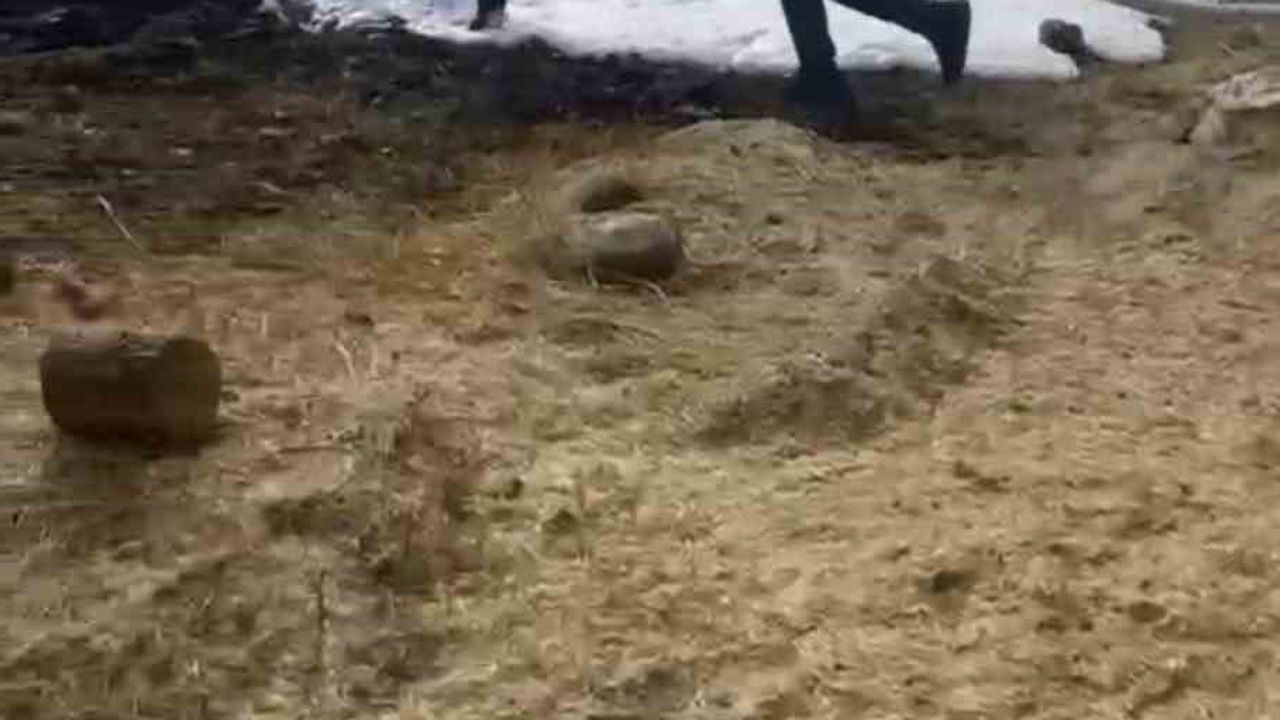 Anız yangını Eskipazar'da üç dönüm arazi ile tarım makinelerini yıktı