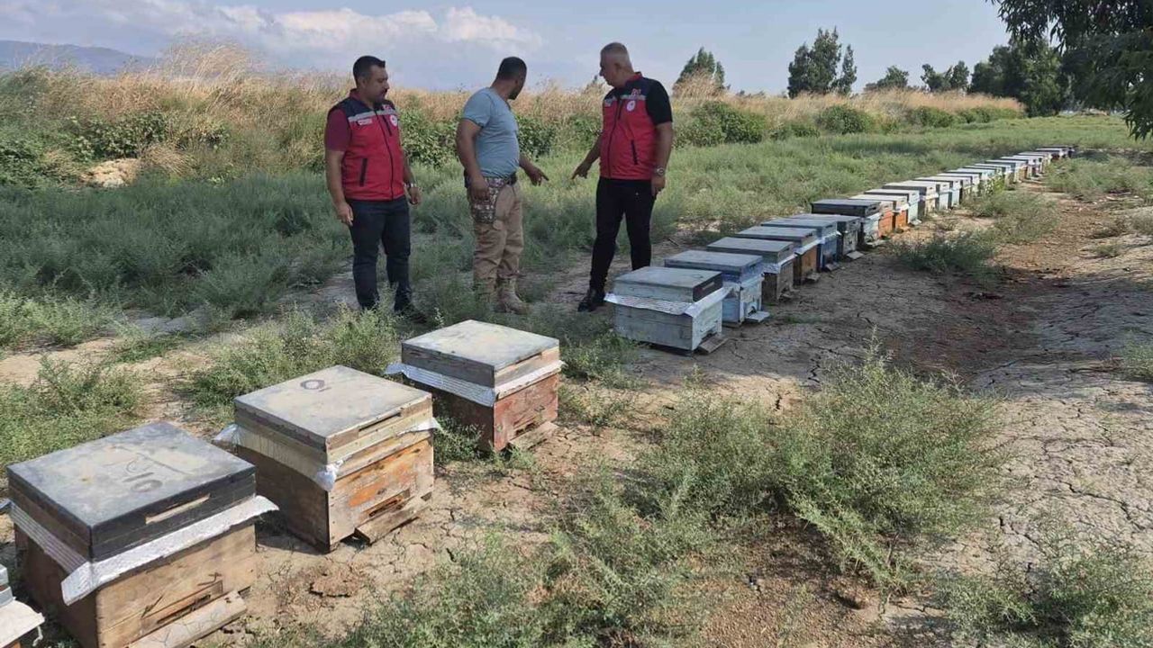 Antakya'da bal sağımı devam ediyor: üreticiler verim ve arı sağlığına odaklandı