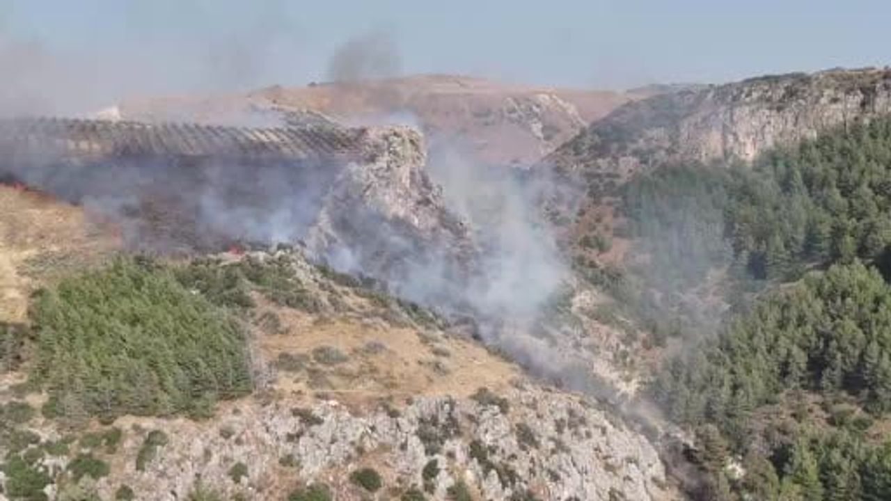 Antakya'da Narlıca Mahallesi yakınlarında orman ve zeytinlik yangını